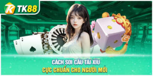 Khái niệm về soi cầu tài xỉu tại tk88